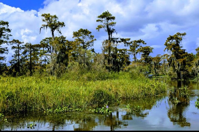 New Orleans Swamp Tour Boat Adventure With Transportation - Accessibility Details