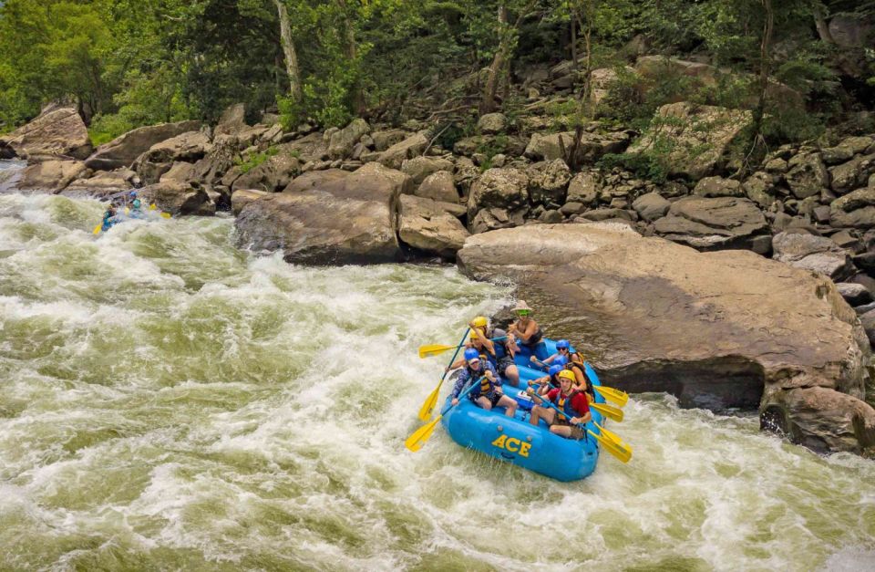 New River Gorge Whitewater Rafting - Lower New Full Day - Frequently Asked Questions