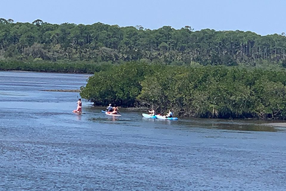 New Smyrna: Half-Day Guided SUP or Kayak Waterways Tour - Suitability