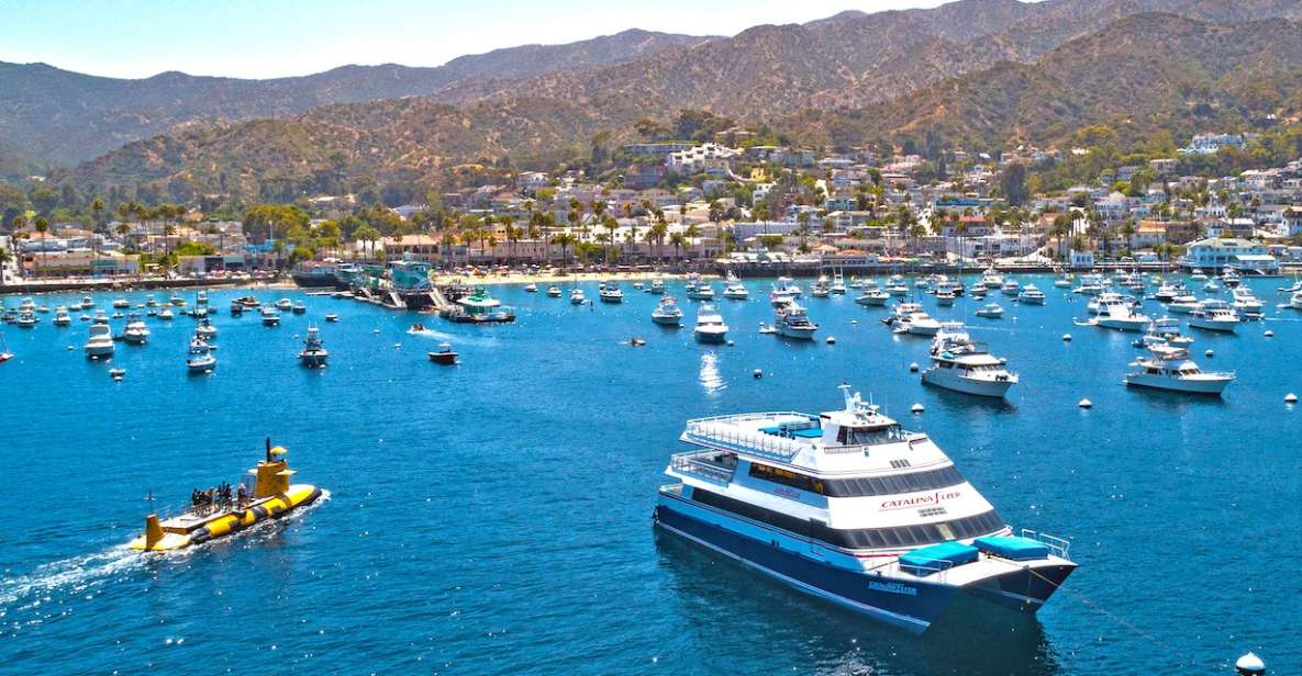 Newport Beach: Ferry Ticket To/From Catalina Island - Seasickness Remedies