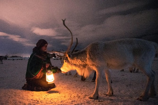 Night Reindeer Sledding With Camp Dinner and Chance of Northern Lights - Reindeer Feeding and Sled Ride