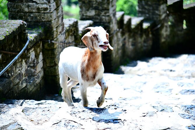 Ninh Binh 2 Days 1 Night Tour From Hanoi (Small Group of 9) - Guest Reviews