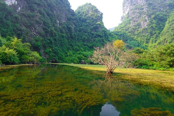 Ninh Binh Day Tour: Bai Dinh Trang an Boat Trip - Inclusions of the Tour