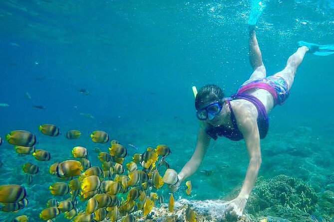 NNUSA Penida: Snorkeling at 2 - 4 Spots, Manta Point or Manta Bay - Meeting Point Details