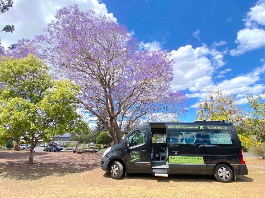 Noosa: Mary Valley Tour With Mary Valley Rattler and Lunch - Booking Information