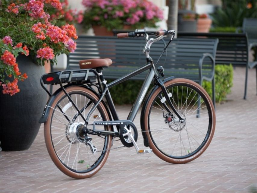 Norfolk: Electric Bike Rental - Rental and Experience Details