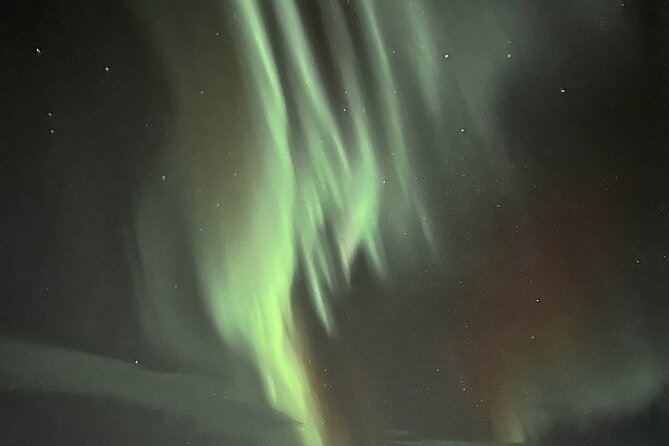 Northern Light Hunt With Minibus to Abisko 7:30 Pm - Reviews