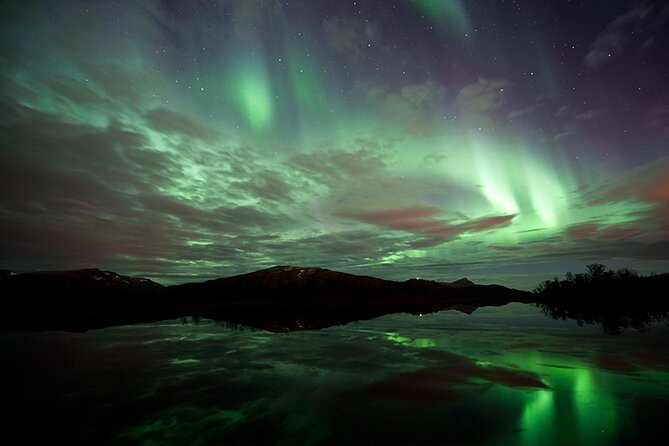 Northern Lights Husky Visit - Northern Lights Viewing