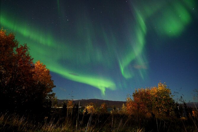 Northern Lights Tour With Alta Adventure - Transportation and Pickup