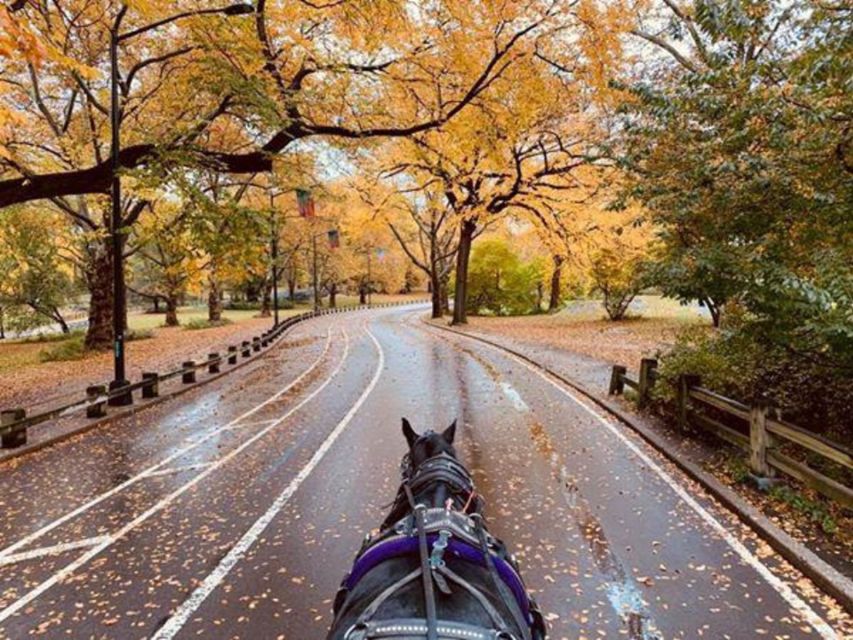 NYC: Central Park Horse-Drawn Carriage Ride (up to 4 Adults) - Directions