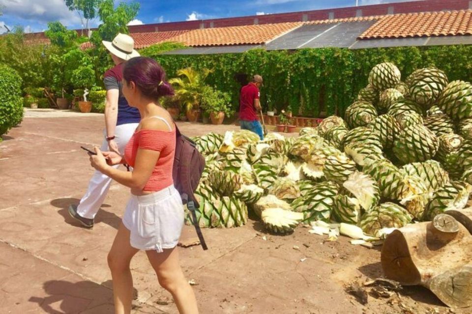 Oaxaca: Traditional Market Private Tour - Vibrant Teotitlan Del Valle Market