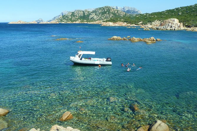 Observation of Dolphins and Snorkeling in a Rubber Boat in Olbia - Inclusions for the Tour
