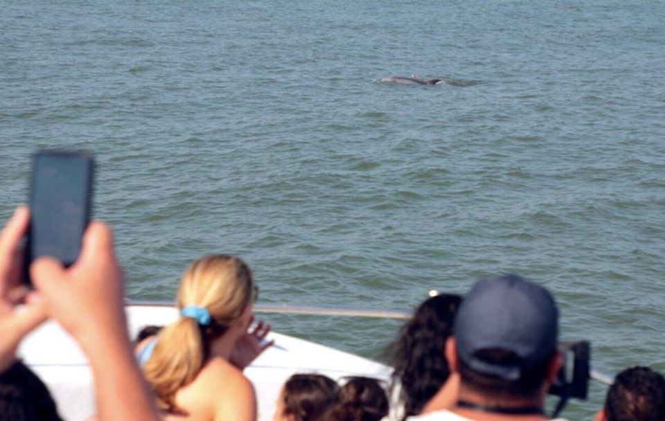 Ocean City, MD: Sea Rocket Sunset Cruise & Dolphin Watch - Onboard Entertainment and Music