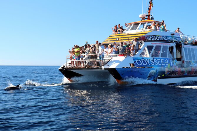 Odyssee 3: The Glass Bottom Boat Tour in Fuerteventura - Amenities and Water Sports