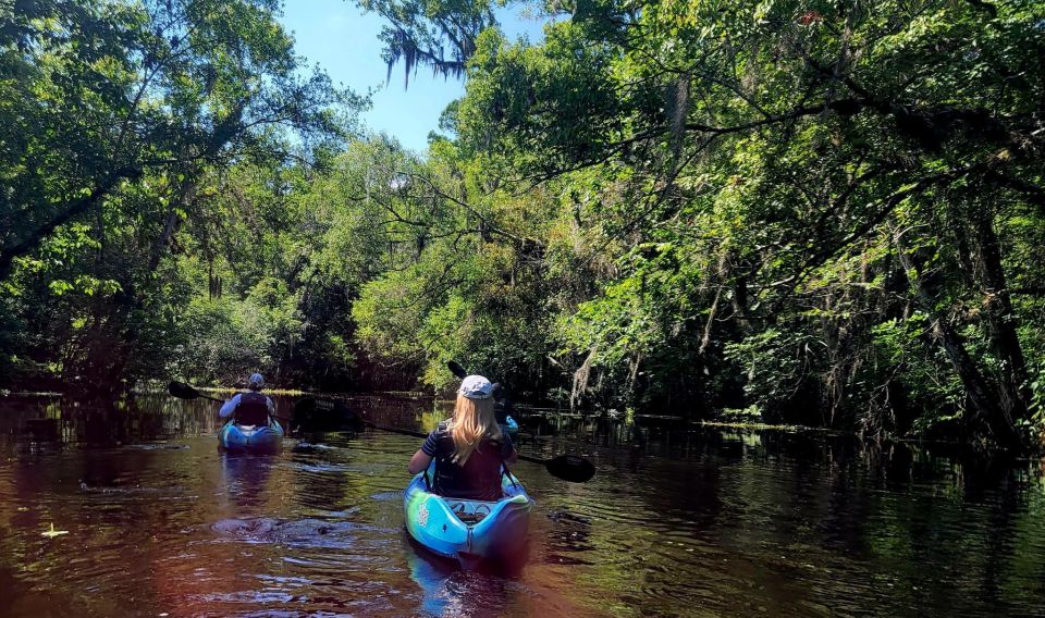 Old Florida Backwater Kayak Adventure Near St. Augustine - Tour Guide Expertise