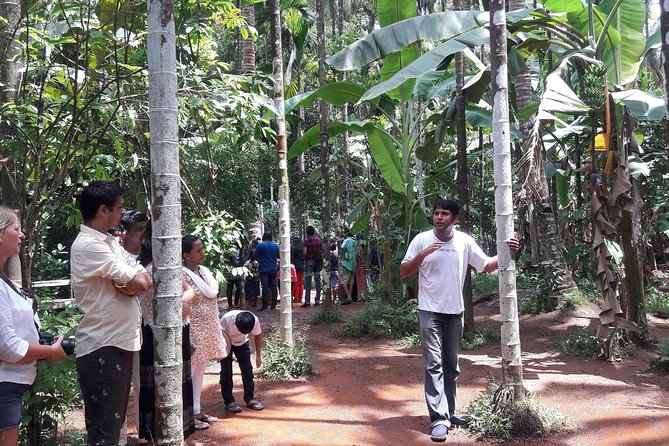 Old Goa Churches, Temples & Spice Plantation With Goan Lunch - Pricing and Inclusions