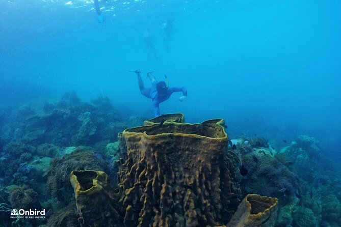 Onbird - PRIVATE ADVENTURE SNORKELING - Explore Half-Moon Reef & Coral Mountain - Pickup and Drop-off Service