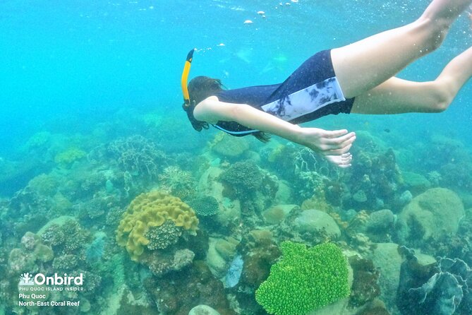 Onbird - Private Family KID-FRIENDLY Snorkeling Trip by Speedboat in Phu Quoc - Additional Information