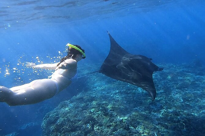 One Day Nusa Penida Island West With Snorkeling - Stop to Swim and Snorkel