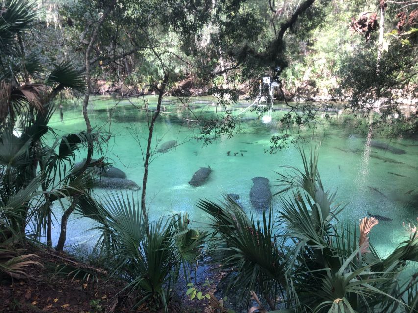 Orlando: Small Group Manatee Discovery Kayak Tour - Tour Duration and Group Size