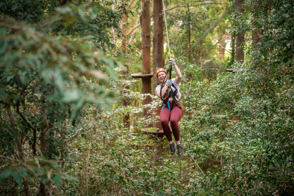 Ourimbah: Central Coast Treetops Adventure Tree Ropes Course - Highlights of the Adventure