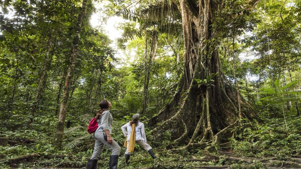 Pacaya Samiria Iquitos 4 Days Mystical Experience - Exploring the Pacaya Samiria Reserve