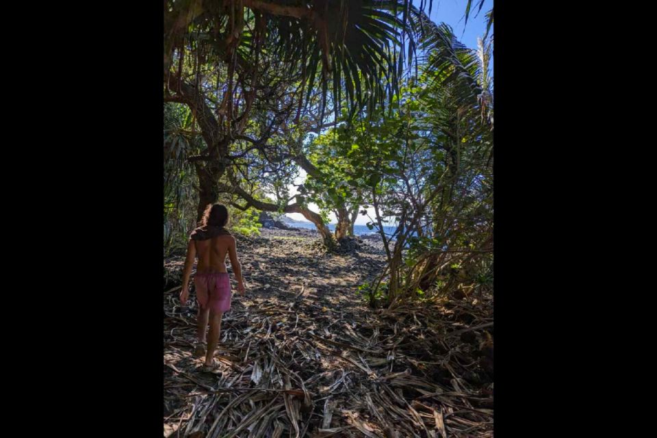 Pahoa: Short Private Hike To Secret Jungle Tide Pool - Tide Pool Details