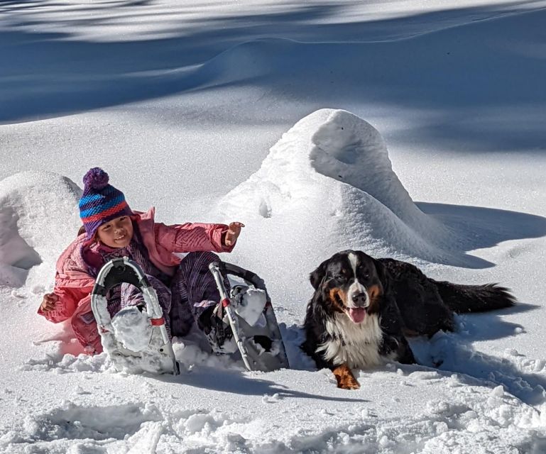 Palisades Point Half-Day Snowshoeing Hike - Recommended Attire