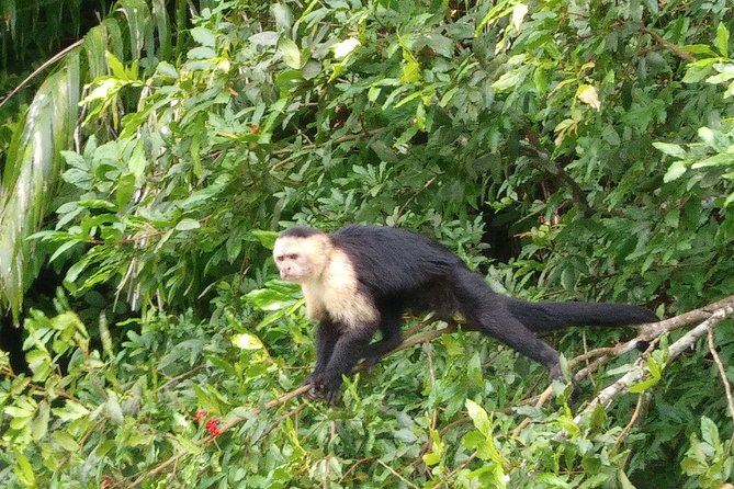Panama Canal Tour and Gatun Lake Ecotour - Customer Experiences