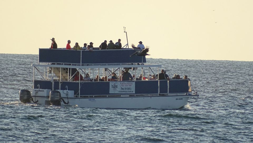 Panama City: Sunset Dolphin Cruise in St. Andrews Bay - Preparation for the Cruise