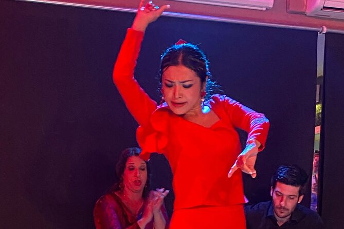 Passion: The Story of the Flamenco Show in Marbella - Flamenco Show Cancellation Policy