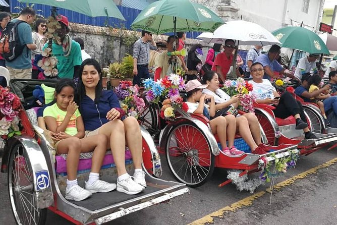 Penang: Flexible 6-Hours Highlights - Professional Guides Expertise