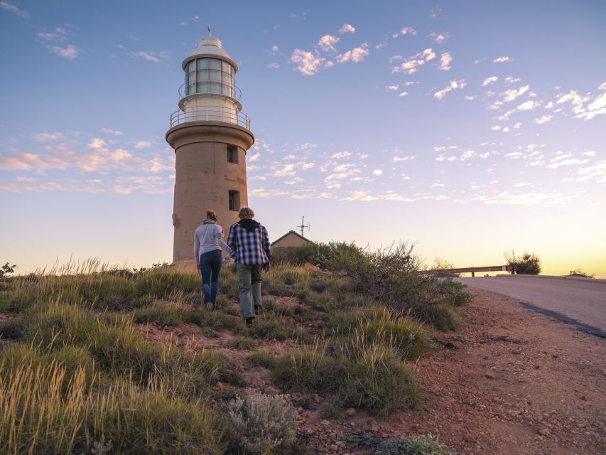 Perth to Exmouth 6-Day Coral Coaster One-Way Journey - Optional Activities