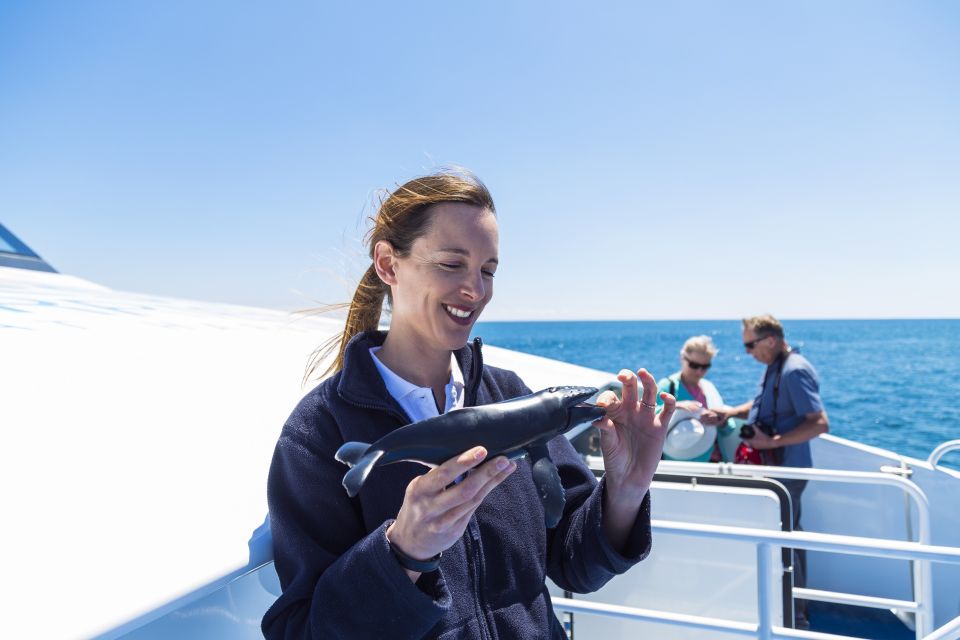 Perth: Whale Watching Cruise From Hillarys Boat Harbor - Important Information