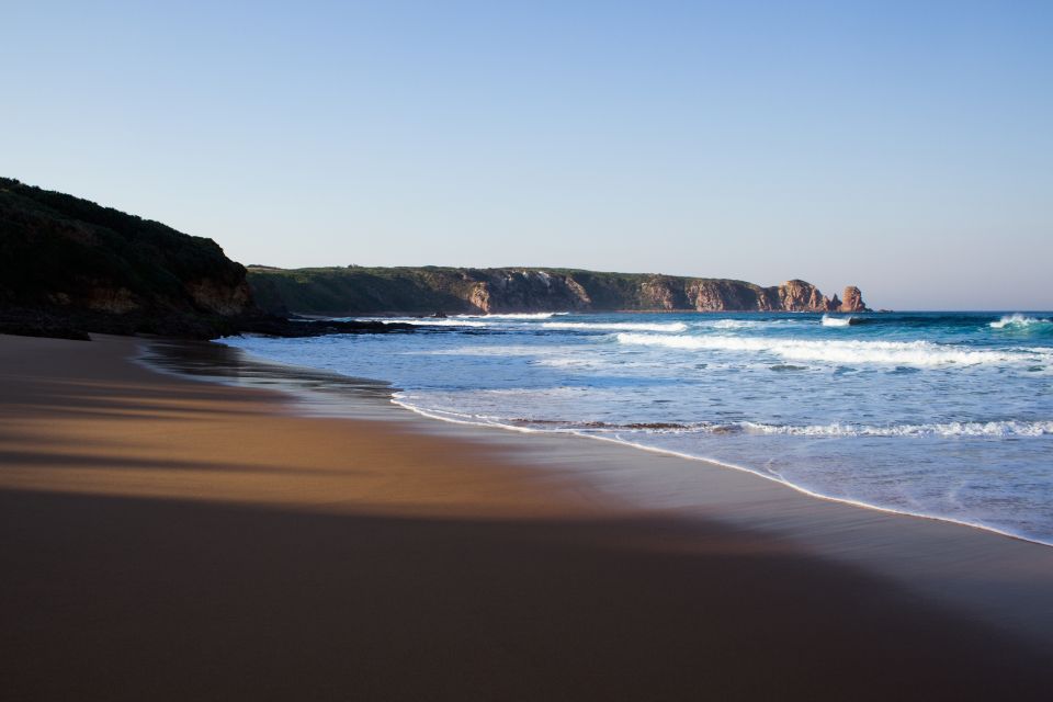 Phillip Island: Nature Hike and Penguin Parade With Guide - Inclusions