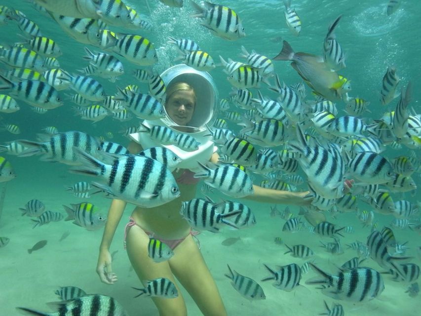 Phuket: Coral Island Snorkeling and Water Activities Trip - Pickup and Transfer