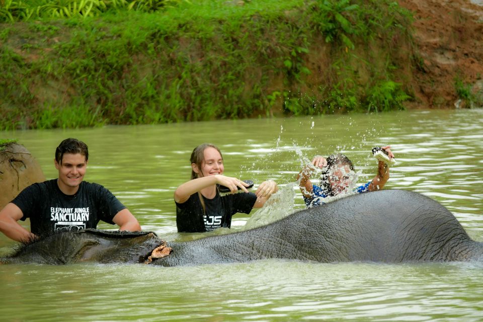 Phuket: Elephant Jungle Sanctuary Half-Day Visit With Meal - Animal Welfare Commitment