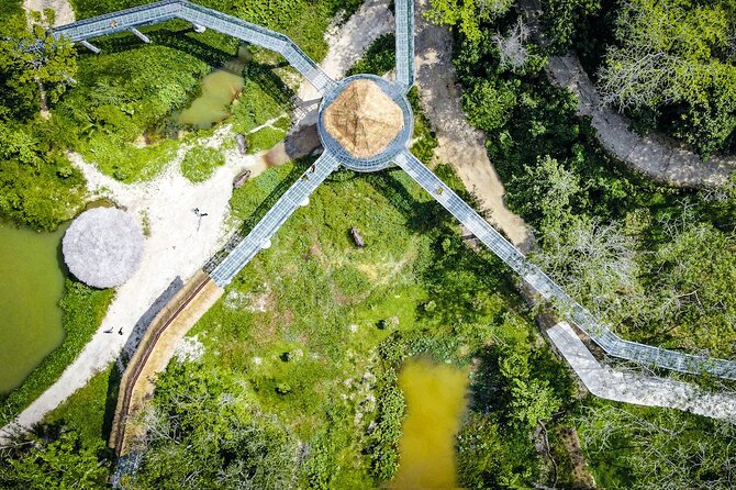 Phuket Elephant Sanctuary Canopy Walkway Tour - Visitor Testimonials