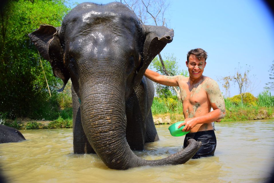 Phuket: Elephant Save & Care Program Tour - Spa Treatment and Shower