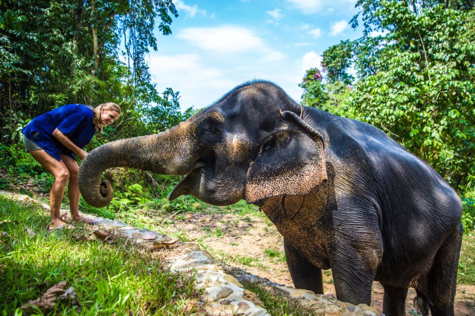 Phuket: Ethical Elephant Sanctuary Experience - Preparation and Feeding