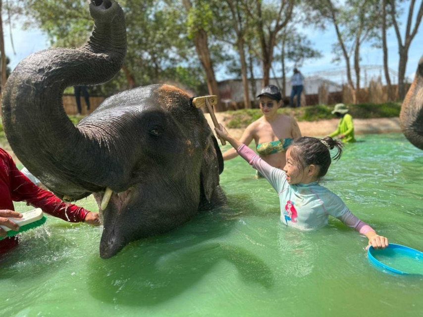 Phuket: Phuket Elephant Care Sanctuary ECO Tour - Phuket Elephant Care Sanctuary