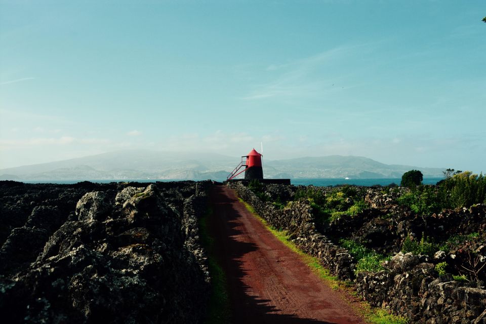 Pico, Azores: Highlights Tour With Wine Tasting and Picnic - Lajido and Criacao Velha