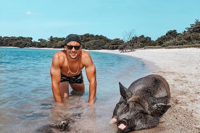 Pig Island Experience By Speed Boat, Snorkeling, Kayaking Relaxing on the Beach - Recommendations for Travelers