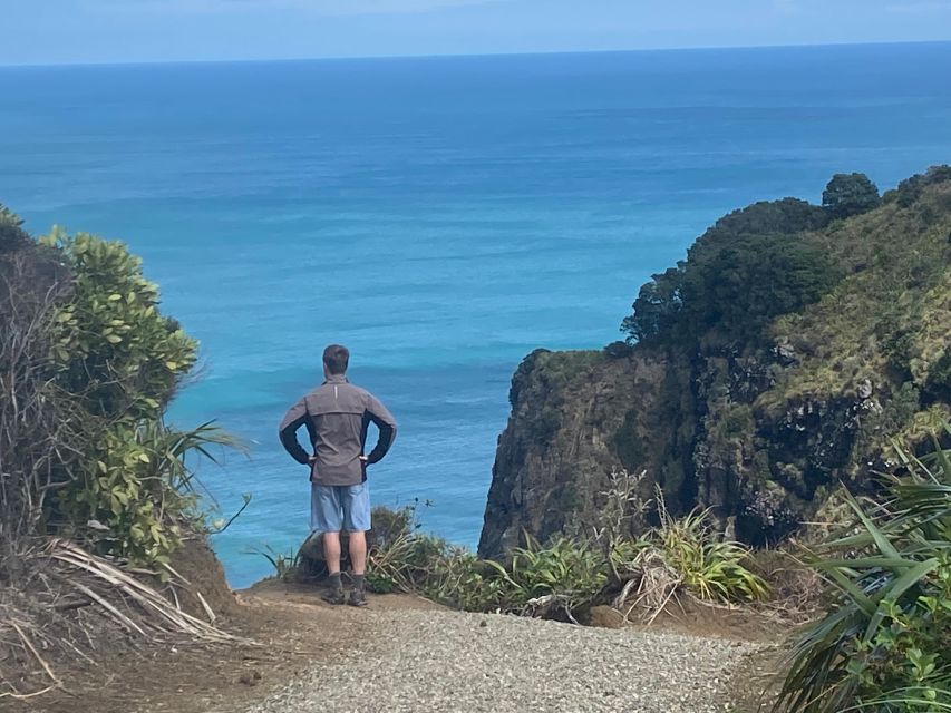 Piha & Karekare - Out of Auckland Private Tour - Itinerary