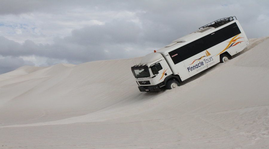 Pinnacles, Koalas & Sandboarding Tour Day Trip From Perth - Directions and Recommendations