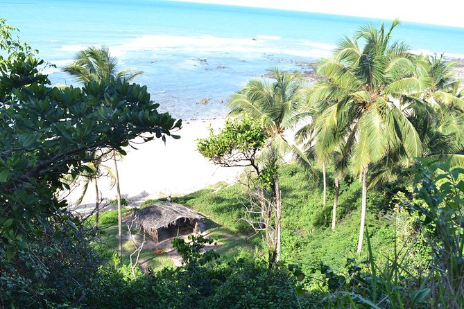 Pipa Beach Tour - Leaving Natal - Customer Reviews and Feedback