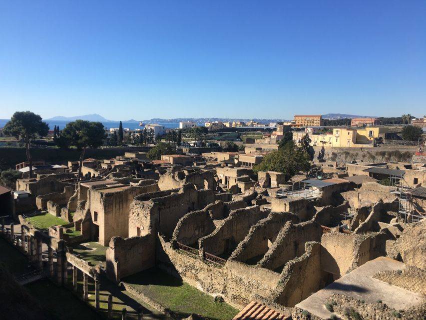 Pompeii and Herculaneum: Guided Tour With an Archaeologist - Plaster Casts of Victims