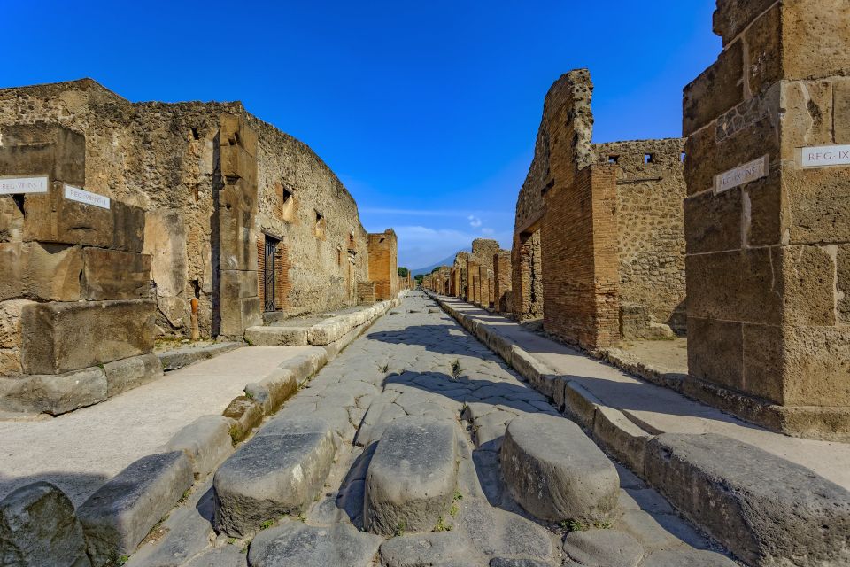 Pompeii, Herculaneum and Wine Tasting - Private Tour - Inclusions and Exclusions