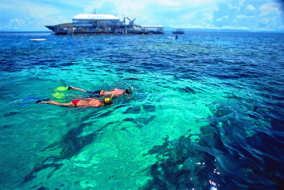 Port Douglas: Quicksilver Outer Barrier Reef Full-Day Cruise - Customer Reviews