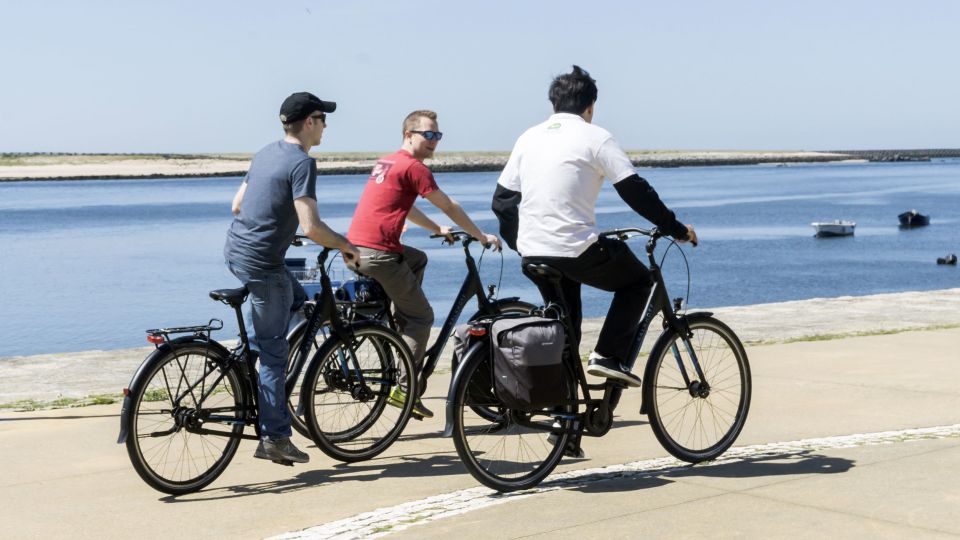 Porto: 3-Hour Bike Tour - Local Birdlife in Garden